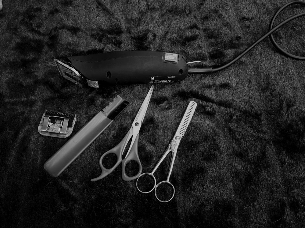 How To Groom A Dog That Hates Grooming Dog Training Advice Tips